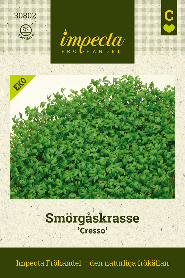Smörgåskrasse 'Cresso'