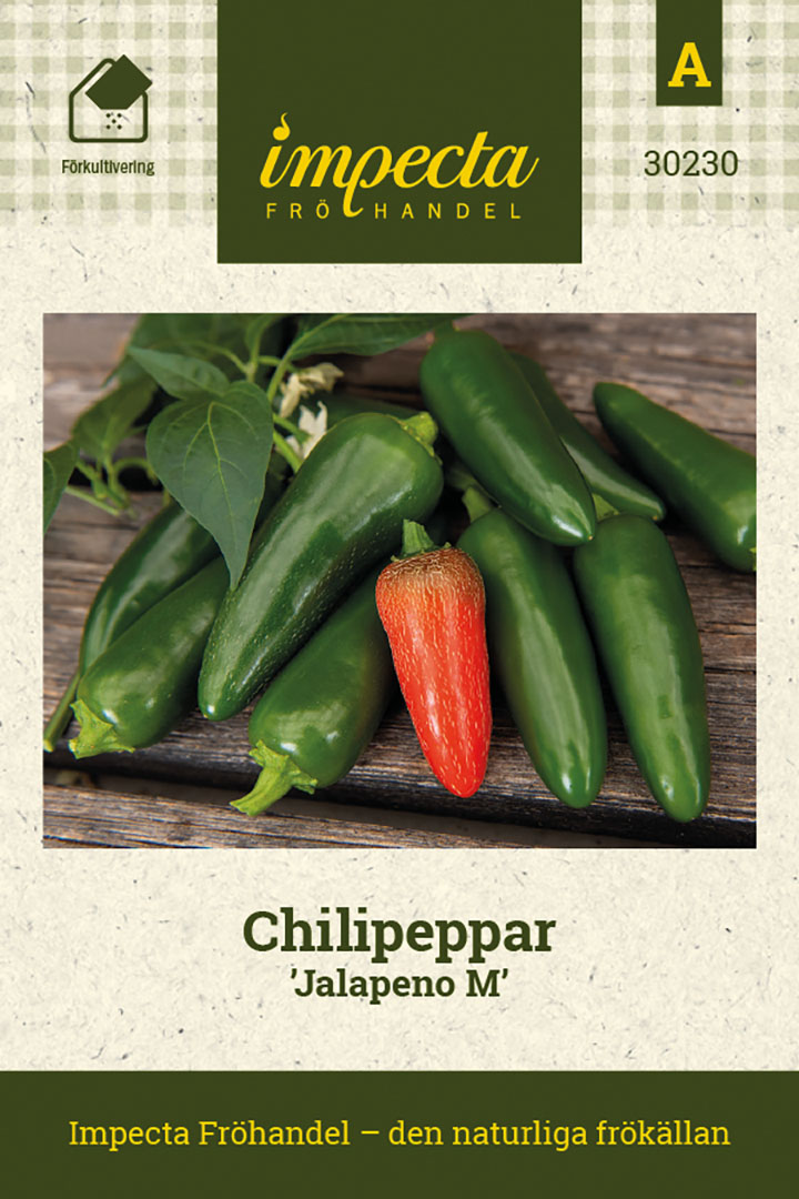 Chilipeppar 'Jalapeno M'