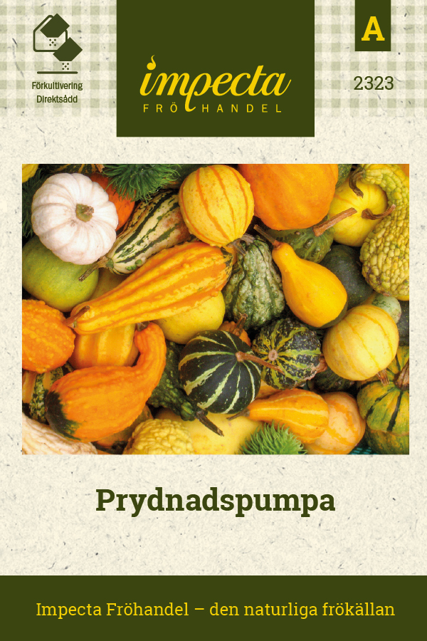 Prydnadspumpa