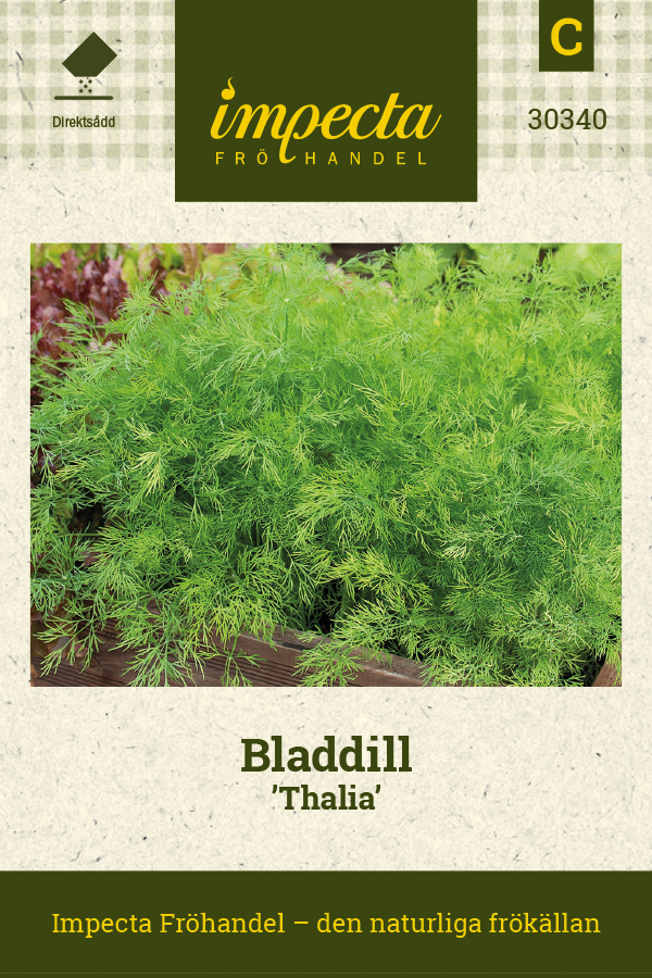 Bladdill 'Thalia'