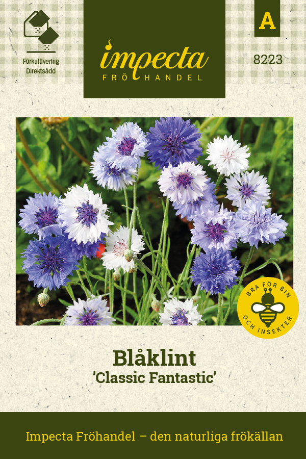 Blåklint 'Classic Fantastic'