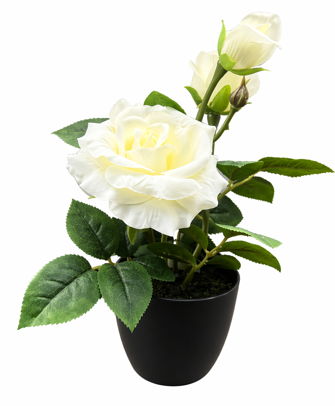 Rose in pot artificial