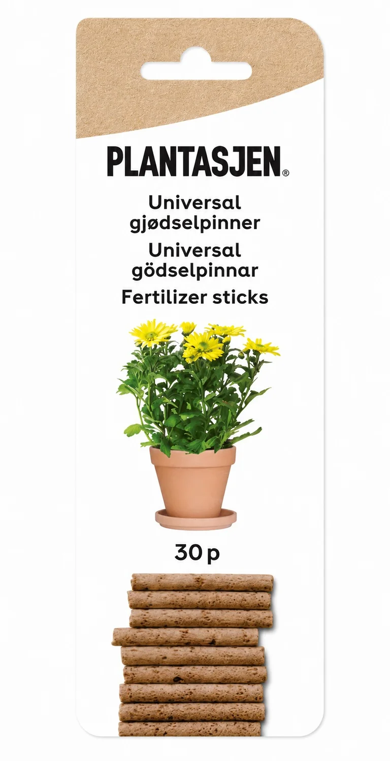 succulent in ceramic pot Succulent Pots, 4 Inch Small Succulent Planter Pot with Drainage Bamb main image 0