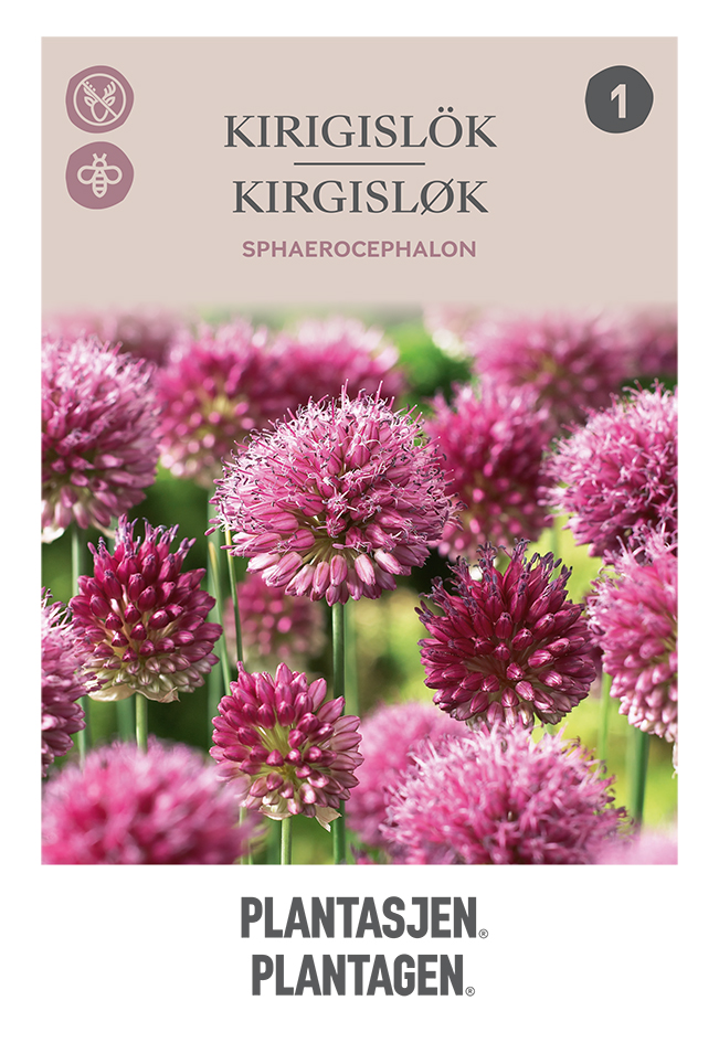 Klotlök