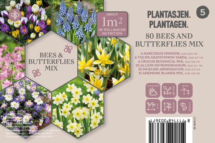 Blomlökmix Bees & Butterflies