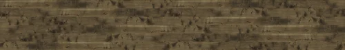 Kaple Katedrála Vrchol 1306.14.3.18.1 komplexní