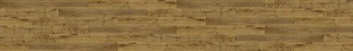 Kaple Katedrála 17. století Tónovaná 1306.05.3.18.1 komplexní