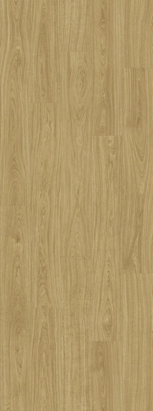 DAB NATURALNY ZLOTY DESKA (V2107-40022) 2502mm x 935mm