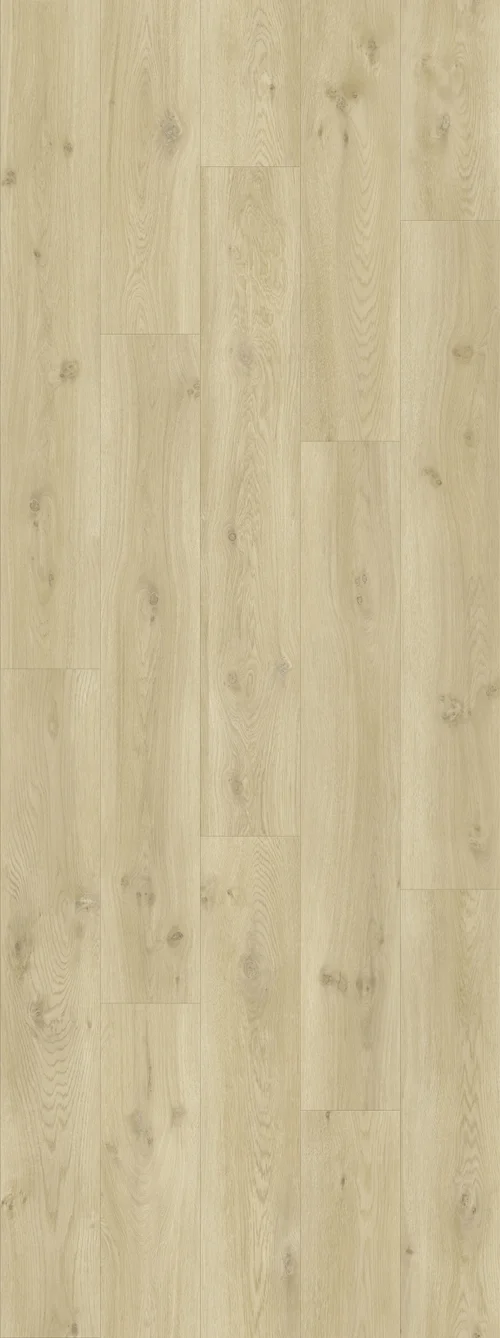 DAB NATURALNY NOWOCZESNY, DESKA (V2107-40018) 2502mm x 935mm