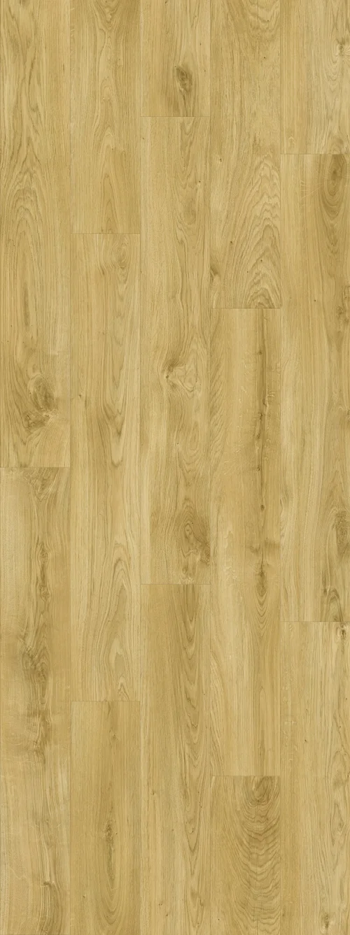 DAB NATURALNY KLASYCZNY, DESKA (V2107-40023) 2502mm x 935mm