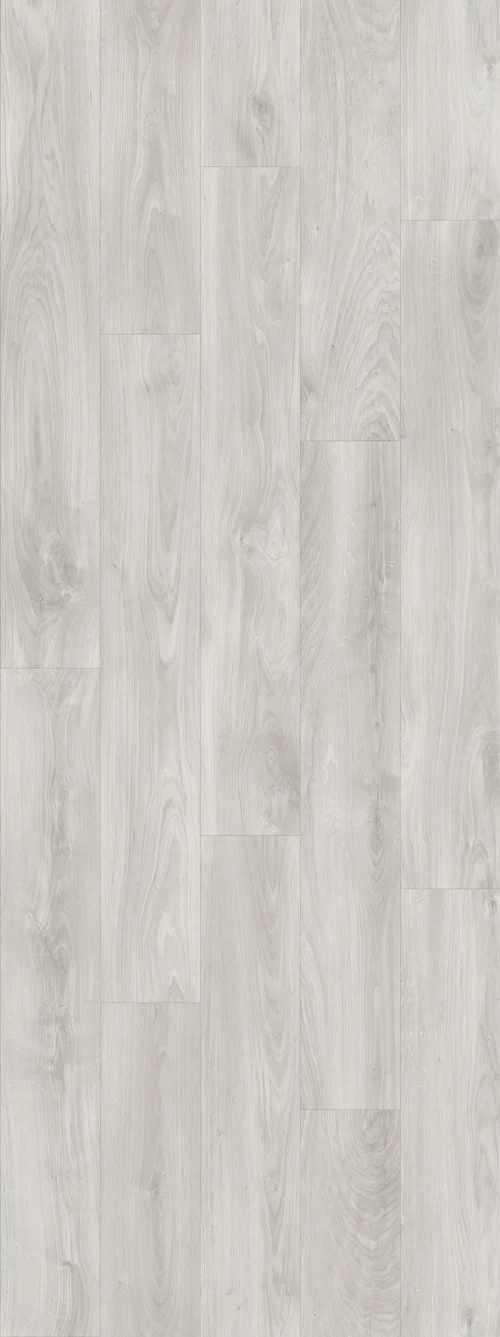 DAB GLADKI SZARY, DESKA (V2107-40036) 2502mm x 935mm