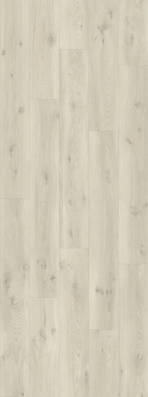 DAB NOWOCZESNY SZARY, DESKA(V2107-400170 2502mm x 935mm