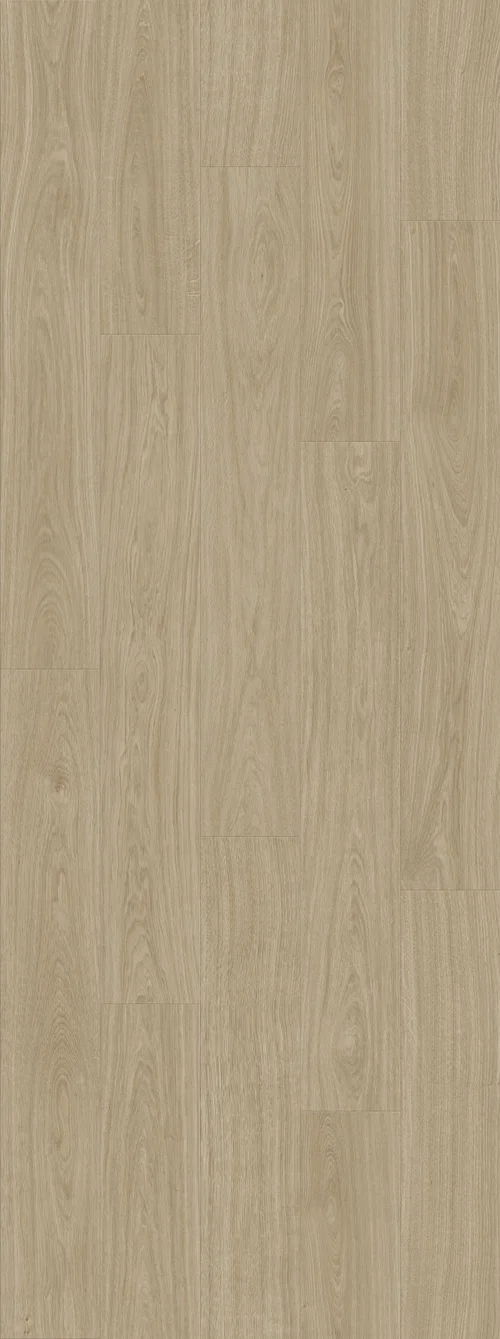 DAB NATURALNY JASNY (V2107-40021) 2502mm x 935mm