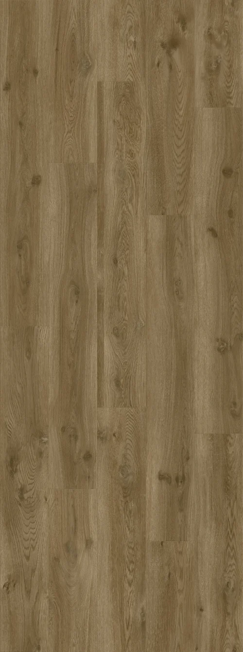DAB NOWOCZESNY KAWOWY, DESKA (V2107-400190 2502mm x 935mm