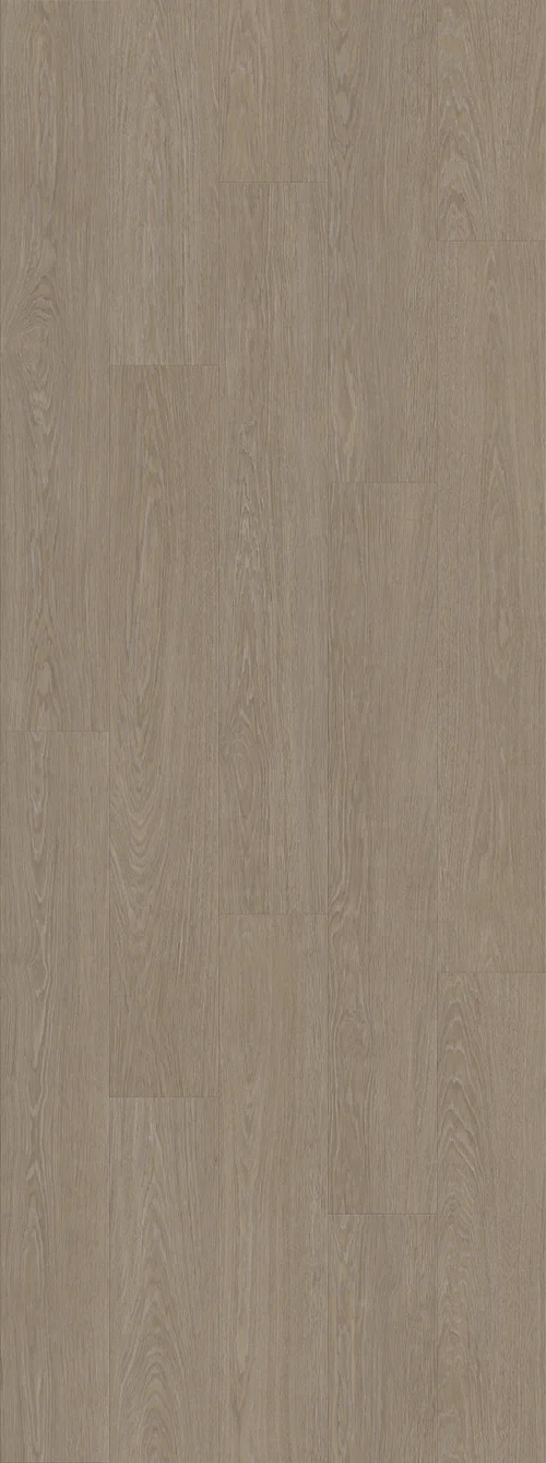 DAB DWORSKI NATURALNY (V2107-40014) 2502mm x 935mm