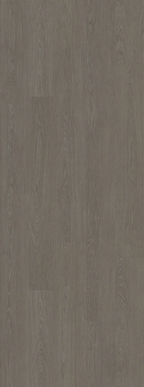 DAB DWORSKI TAUPE (V2107-40016) 2502mm x 935mm