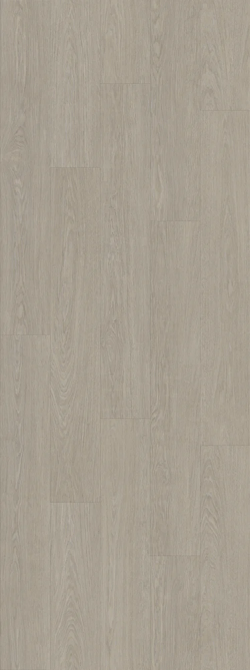 DAB DWORSKI CIEPLY SZARY (V3107-40015) 2502mm x 935mm