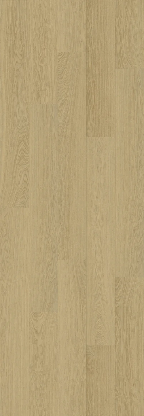DAB BRYTYJSKI (V2131-40098) 3020mm x 1050mm