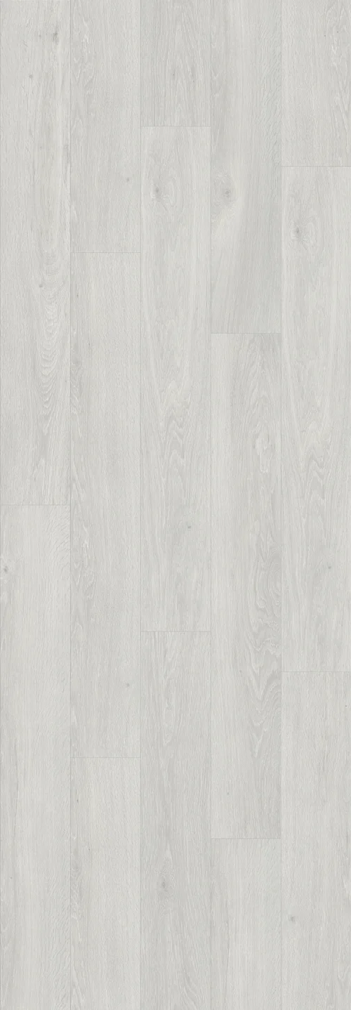 DAB BIELONY SZARY (V3131-40082) 3020mm x 1050mm