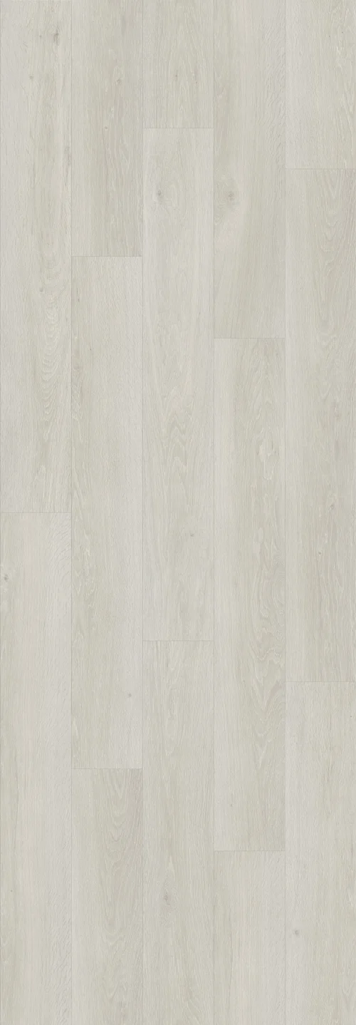 DAB BIELONY JASNY (V2131-40079) 3020mm x 1050mm
