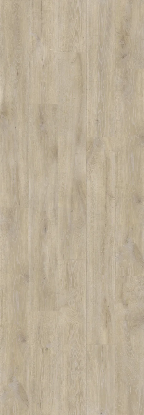 DAB GORSKI JASNY (V2131-40100) 3020mm x 1050mm