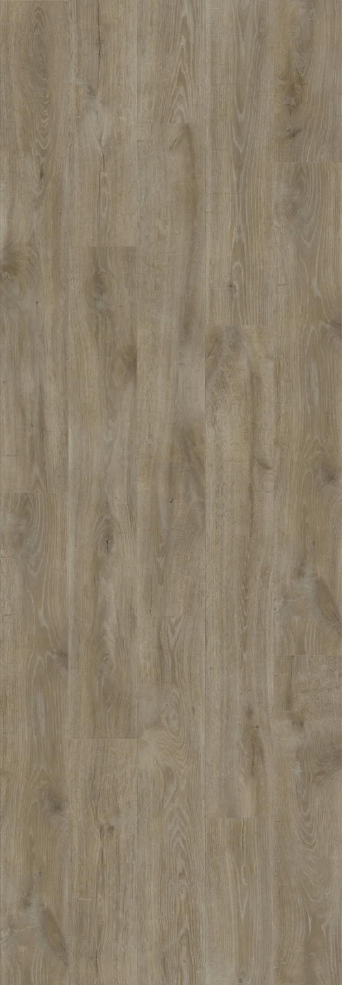 DAB GORSKI CIEMNY (V2131-40102) 3020mm x 1050mm