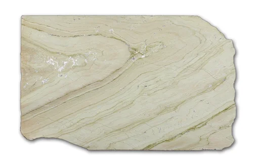 olive 2