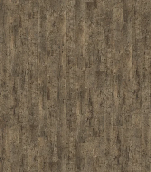 DĄB SZLACHETNY NATURALNY OLEJOWANY, DESKA ( U1157 ) 2496 mm x 2870 mm