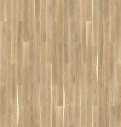Dab Color Avorio_72dpi.jpg