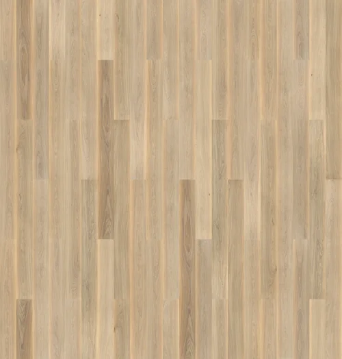 Dab Color Bianco_72dpi.jpg