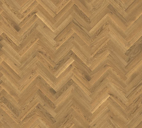 Design Experience Maxi Dąb Color Oro