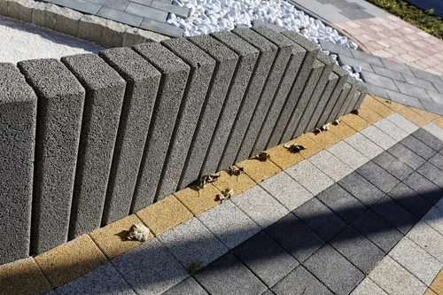 Nowe zdjęcie
