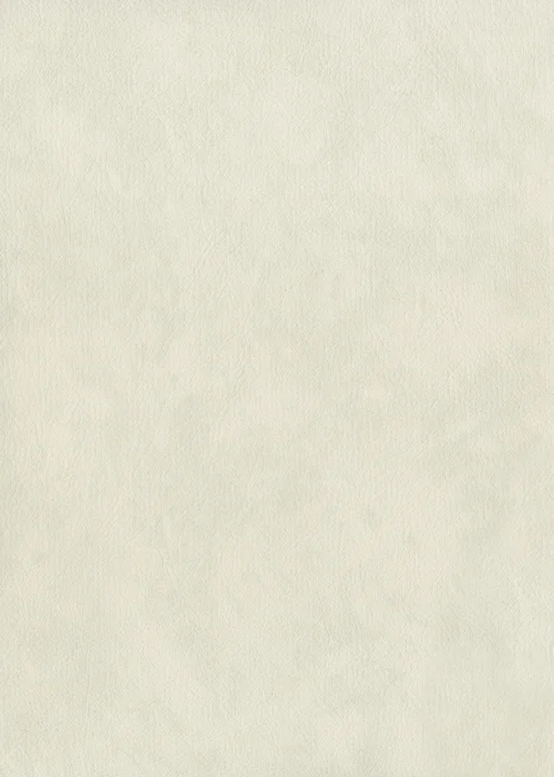 Cirrus 614 22 240
