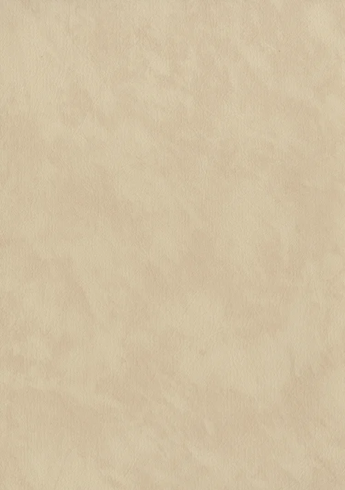 Cirrus 614 22 703