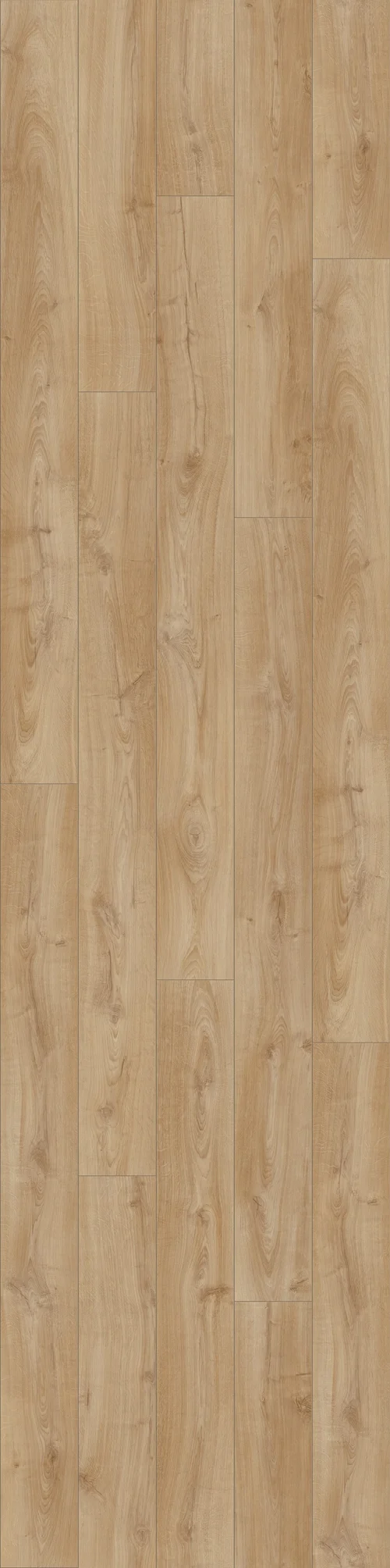 DĄB KLASYCZNY, BEŻOWY, DESKA (L0323-03359) 2400mm x 450mm