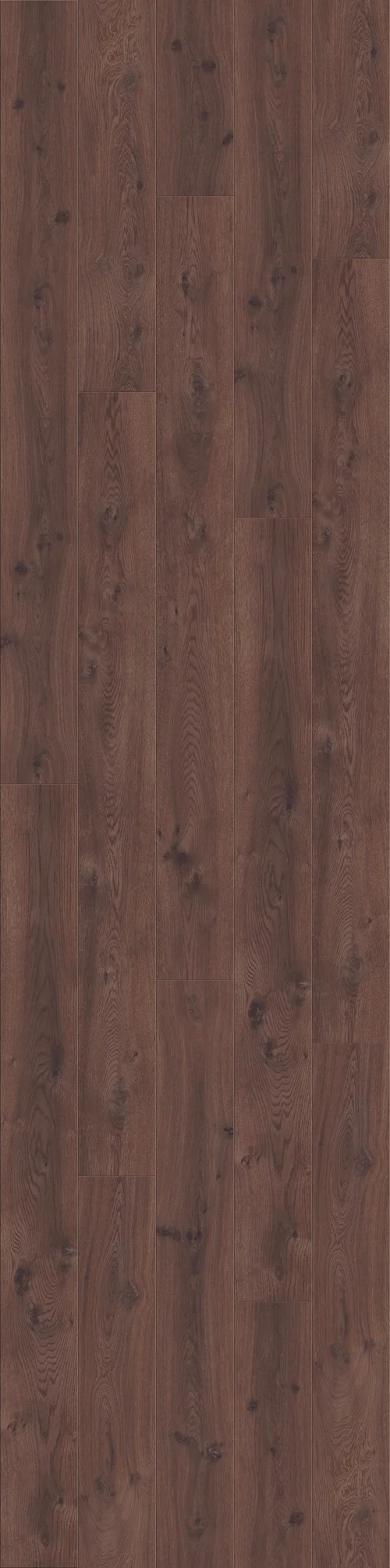 DĄB CZEKOLADOWY, DESKA (L0323-01754) 4100mm x 1025mm