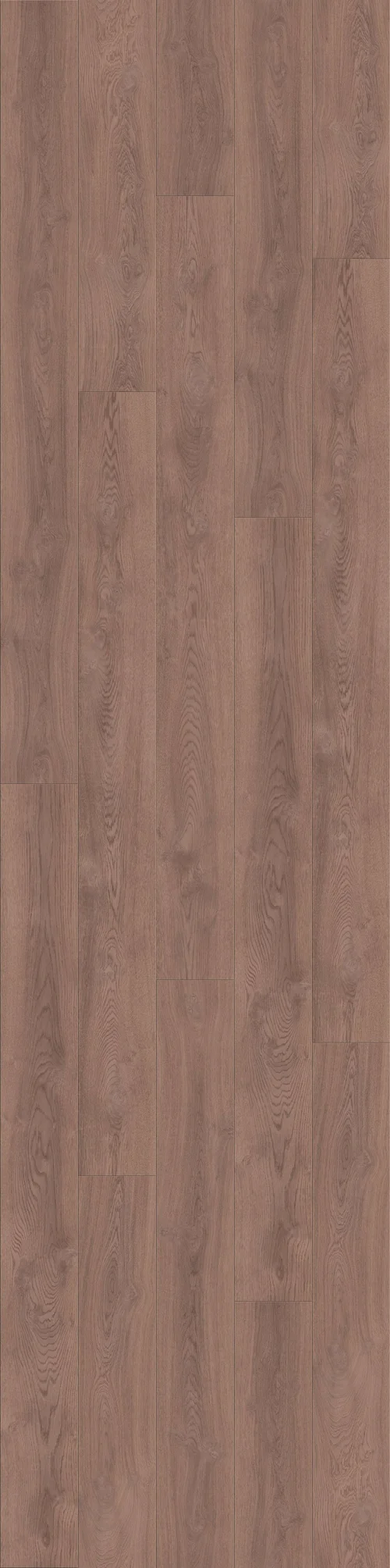 DĄB PALONY, DESKA (L0323-01757) 4100mm x 1025mm