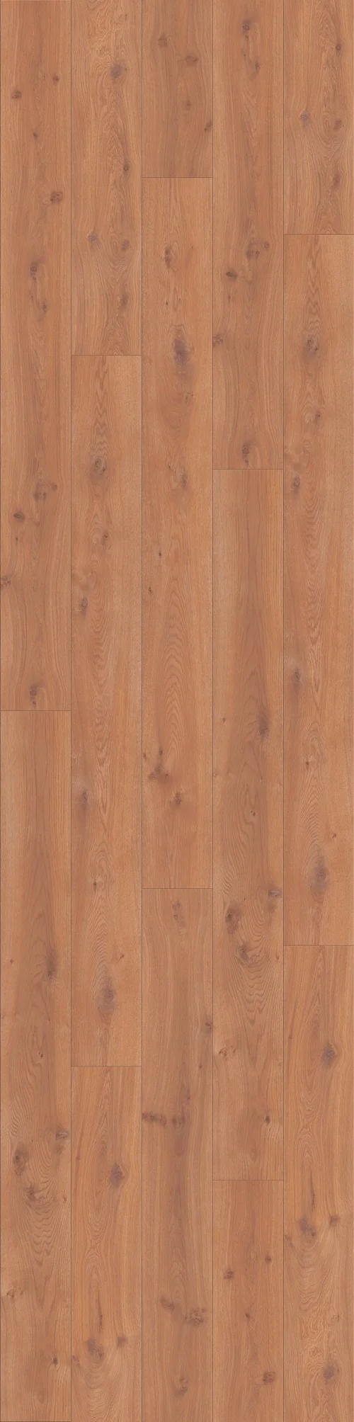DĄB EUROPEJSKI, DESKA (L0123-01756) 4100mm  x 1025mm