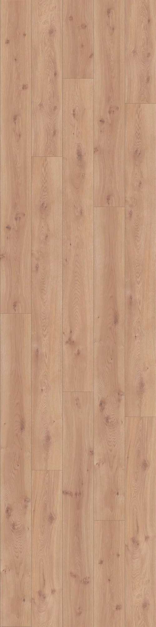 DĄB DRYFUJĄCY, DESKA (L0123-01755) 4100mm x 1025mm
