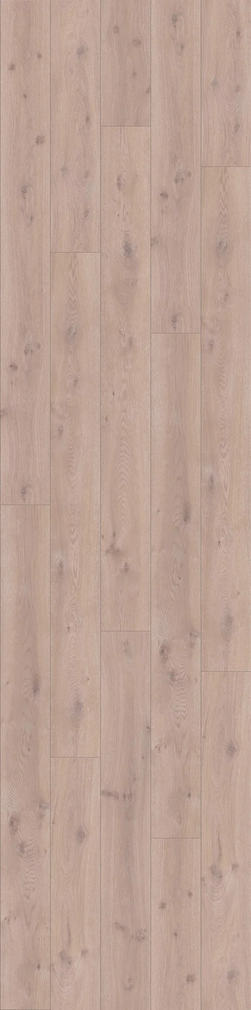 DĄB SZARY, DESKA (L0123-01753) 4100mm x 1025mm