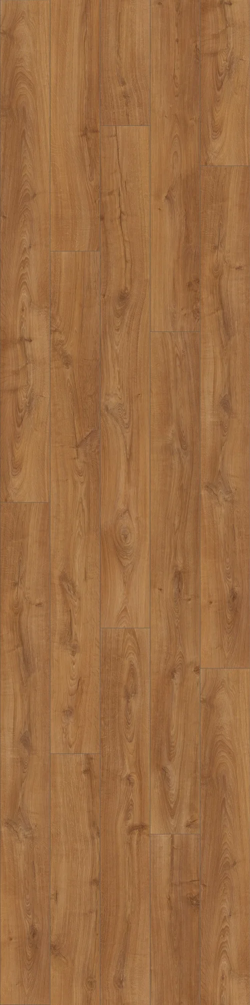 DĄB KRÓLEWSKI, DESKA (L0123-03360) 2400mm x 450mm