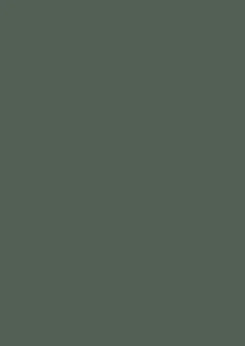 1421931-full