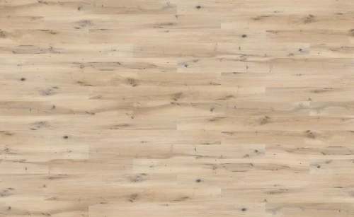Dąb Ivory Grande (4400x2700)
