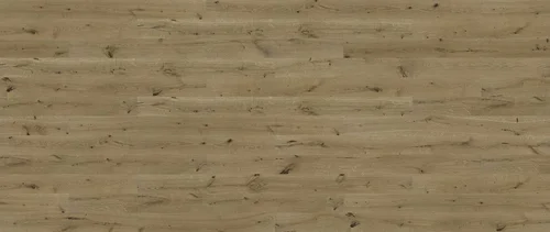 Dąb Azores Medio (4400x1860)