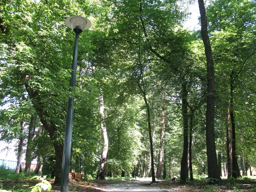 Realizacje