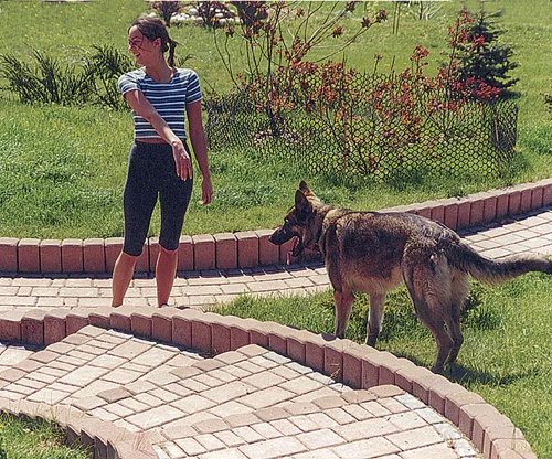 Przykład realizacji 9 palisada NOSTALIT