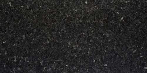 LABRADOR BLACK