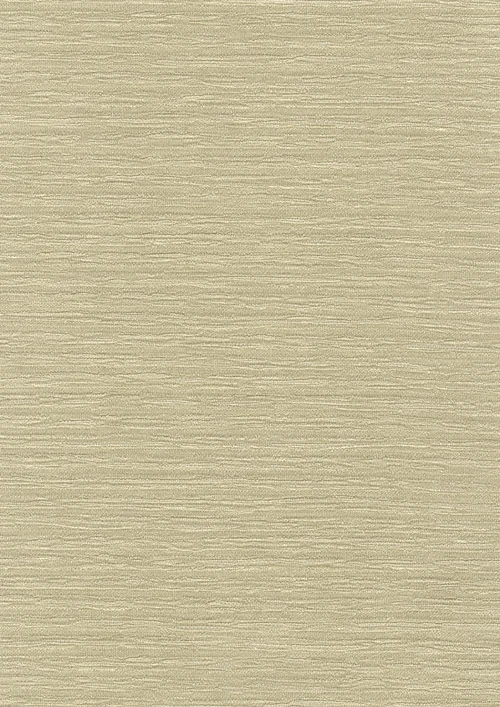 02E47 - Elan Zuri