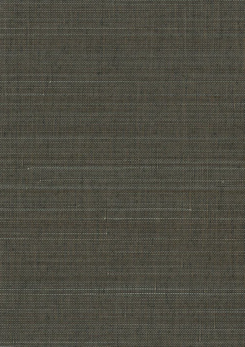 11211 - Everglades Grasscloth