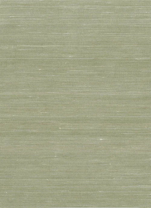 11151 - Everglades Grasscloth